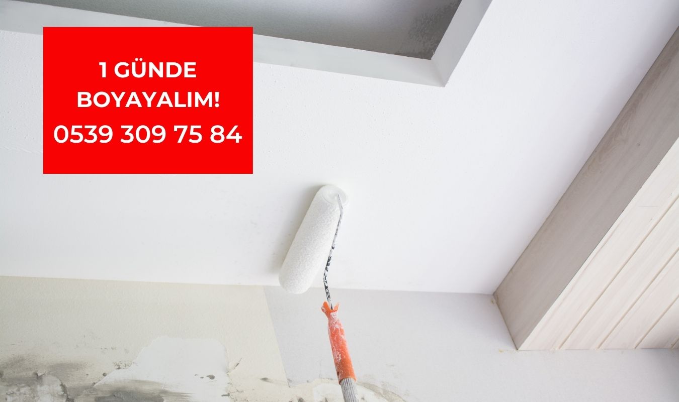 bir günde boya